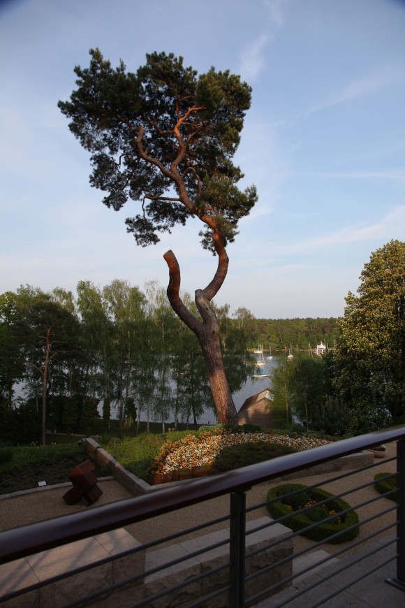 Der Blick von der Terrasse auf den Wannsee.